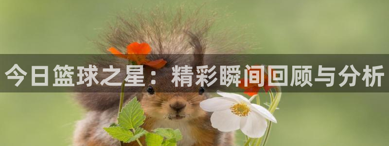 今日篮球之星：精彩瞬间回顾与分析