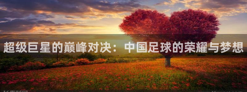 超级巨星的巅峰对决：中国足球的荣耀与梦想
