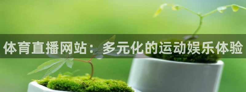 体育直播网站：多元化的运动娱乐体验