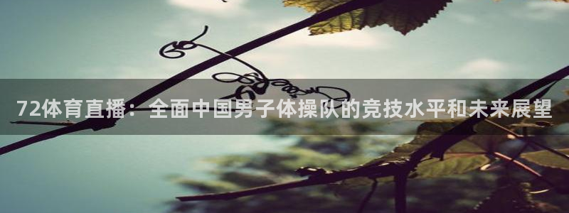 72体育直播：全面中国男子体操队的竞技水平和未来展望