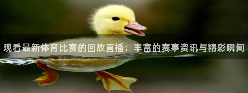 观看最新体育比赛的回放直播：丰富的赛事资讯与精彩瞬间