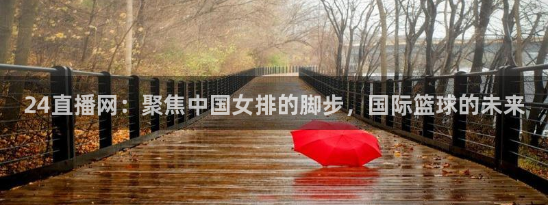 24直播网：聚焦中国女排的脚步，国际篮球的未来