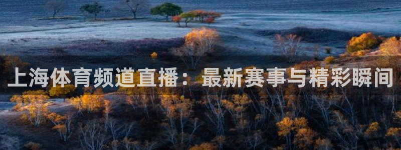 上海体育频道直播：最新赛事与精彩瞬间