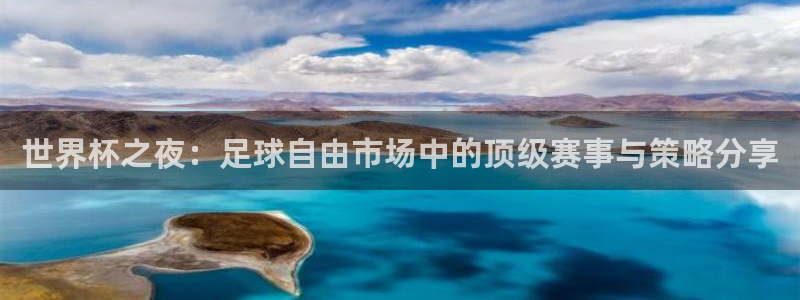 世界杯之夜：足球自由市场中的顶级赛事与策略分享