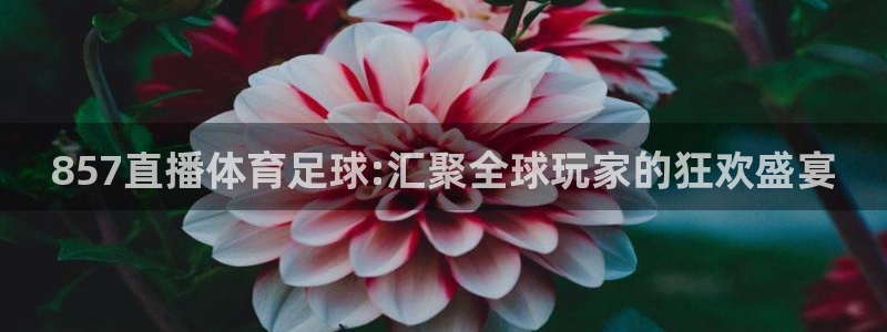 857直播体育足球:汇聚全球玩家的狂欢盛宴