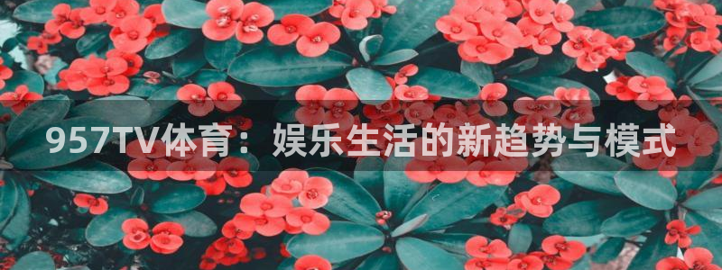 957TV体育：娱乐生活的新趋势与模式