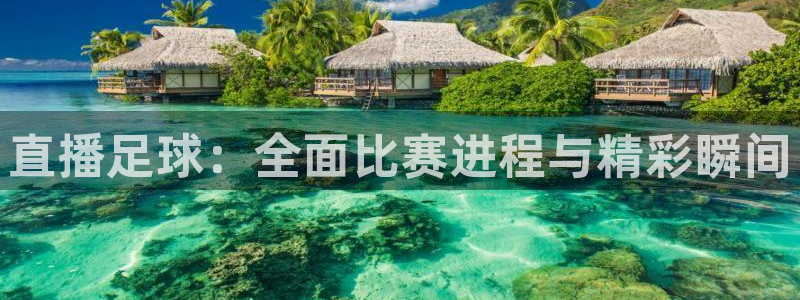 直播足球：全面比赛进程与精彩瞬间