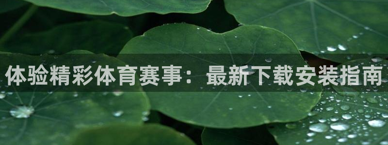 体验精彩体育赛事：最新下载安装指南