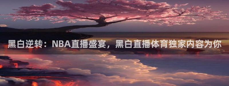 黑白逆转：NBA直播盛宴，黑白直播体育独家内容为你