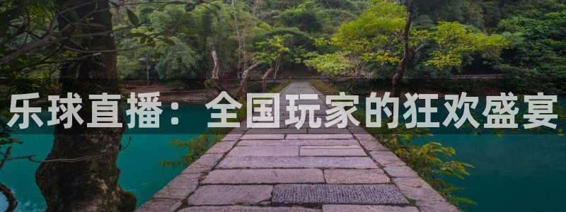 乐球直播：全国玩家的狂欢盛宴