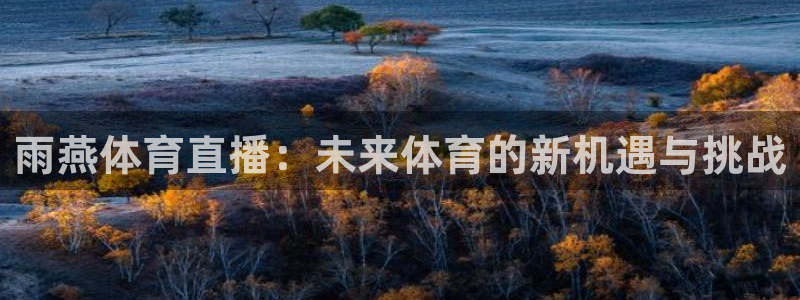 雨燕体育直播：未来体育的新机遇与挑战
