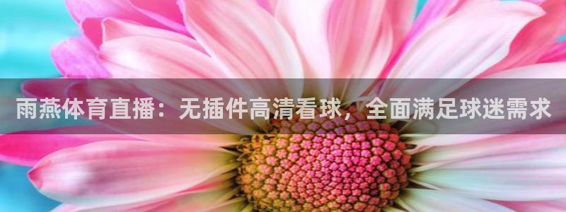 雨燕体育直播：无插件高清看球，全面满足球迷需求
