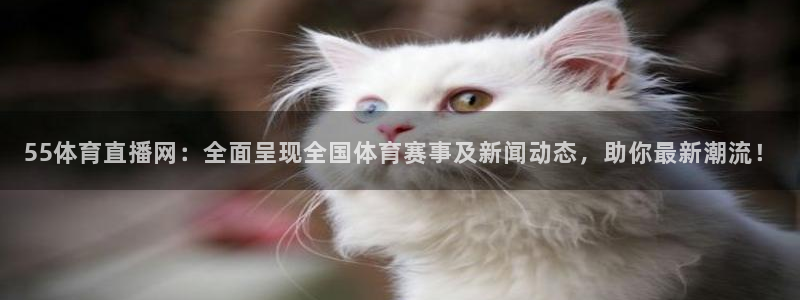 55体育直播网：全面呈现全国体育赛事及新闻动态，助你最新潮流！