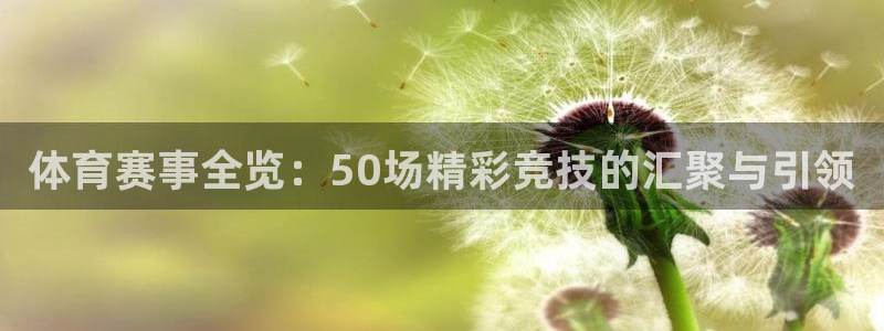 体育赛事全览：50场精彩竞技的汇聚与引领