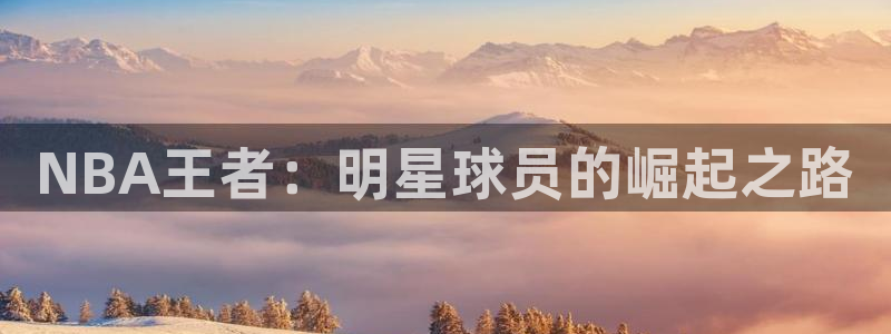NBA王者：明星球员的崛起之路
