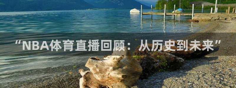 “NBA体育直播回顾：从历史到未来”