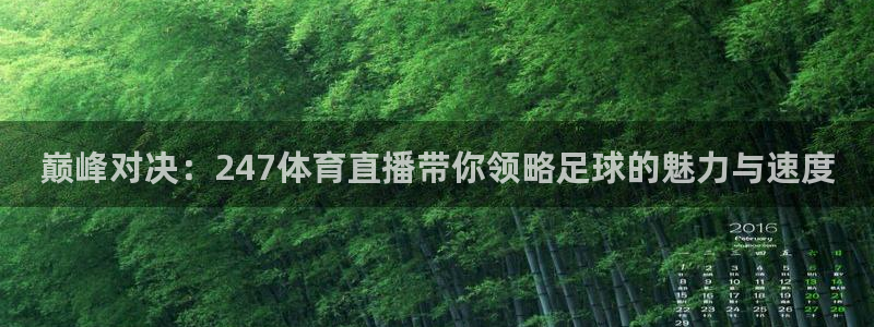 巅峰对决：247体育直播带你领略足球的魅力与速度