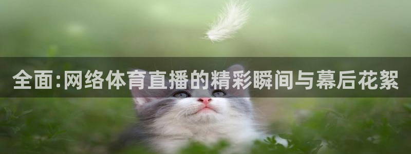 全面:网络体育直播的精彩瞬间与幕后花絮