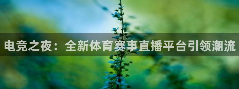 电竞之夜：全新体育赛事直播平台引领潮流