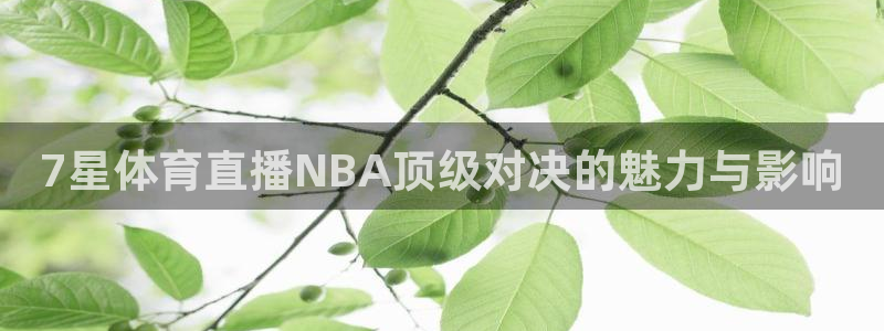 7星体育直播NBA顶级对决的魅力与影响