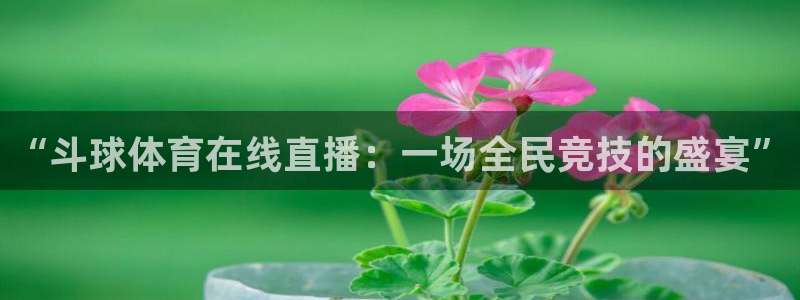 “斗球体育在线直播：一场全民竞技的盛宴”