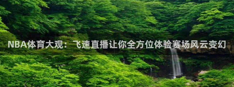 NBA体育大观：飞速直播让你全方位体验赛场风云变幻