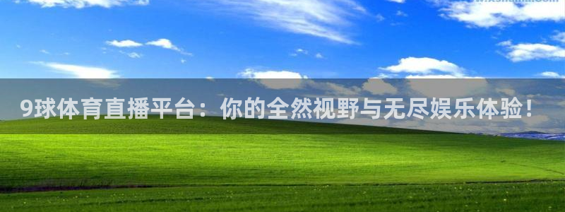 9球体育直播平台：你的全然视野与无尽娱乐体验！