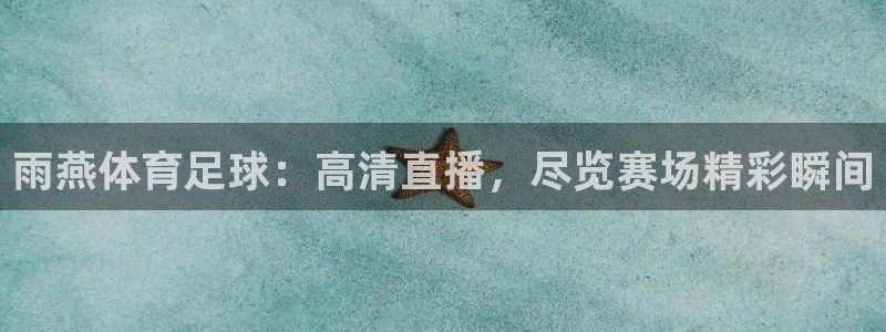 雨燕体育足球：高清直播，尽览赛场精彩瞬间