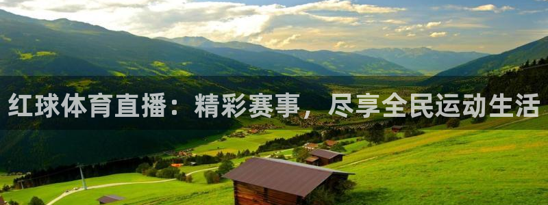 红球体育直播：精彩赛事，尽享全民运动生活