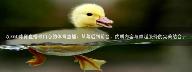 以360体育直播最用心的体育直播：从幕后到前台，优质内容与卓越服务的完美结合。