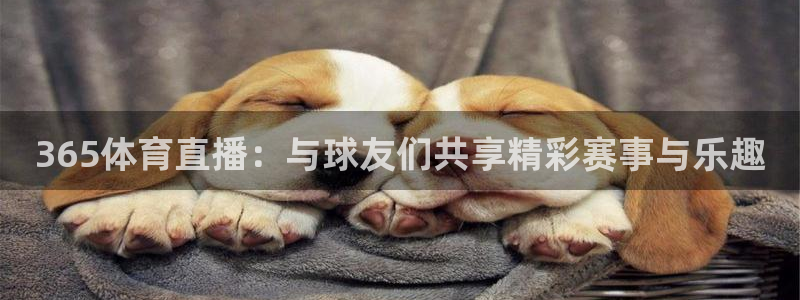 365体育直播：与球友们共享精彩赛事与乐趣