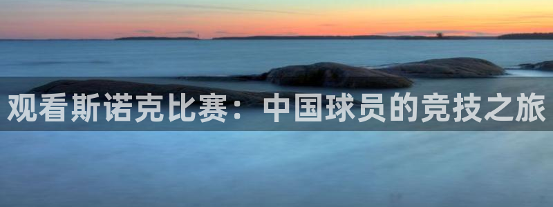 观看斯诺克比赛：中国球员的竞技之旅