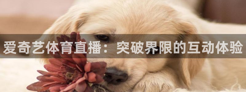 爱奇艺体育直播：突破界限的互动体验