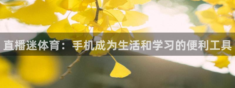 直播迷体育：手机成为生活和学习的便利工具