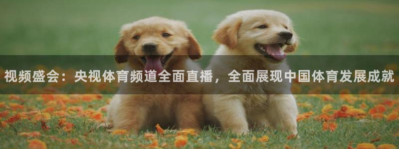 视频盛会：央视体育频道全面直播，全面展现中国体育发展成就