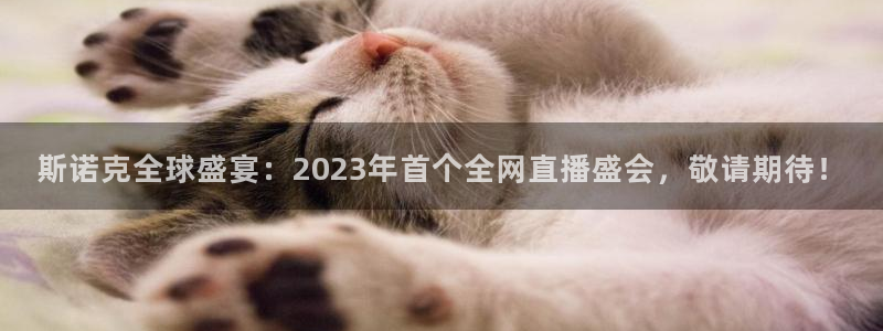 斯诺克全球盛宴：2023年首个全网直播盛会，敬请期待！
