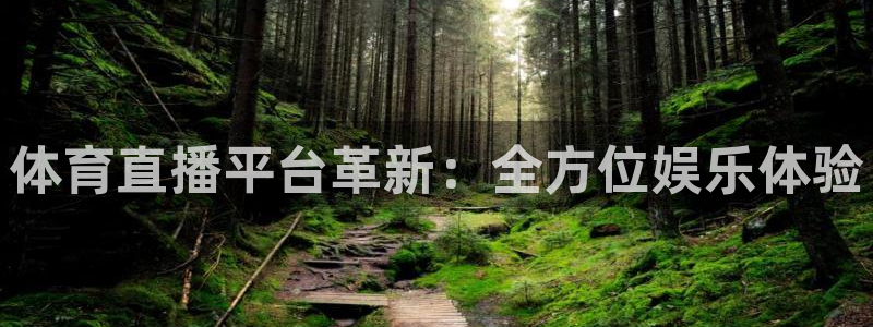 体育直播平台革新：全方位娱乐体验