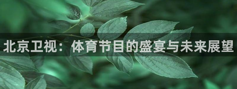 北京卫视：体育节目的盛宴与未来展望