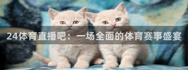 24体育直播吧：一场全面的体育赛事盛宴