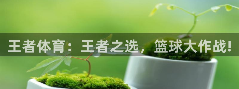 王者体育：王者之选，篮球大作战!