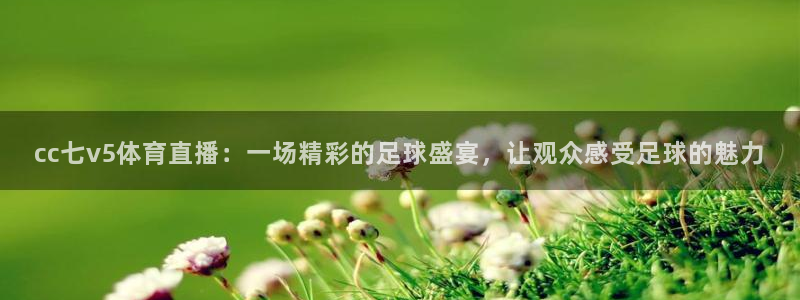 cc七v5体育直播：一场精彩的足球盛宴，让观众感受足球的魅力
