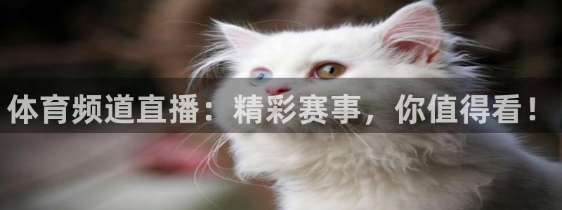体育频道直播：精彩赛事，你值得看！