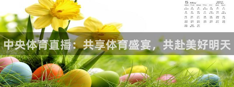 中央体育直播：共享体育盛宴，共赴美好明天