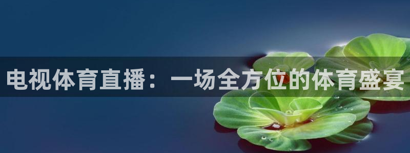 电视体育直播：一场全方位的体育盛宴