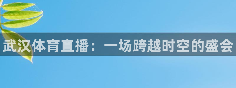 武汉体育直播：一场跨越时空的盛会