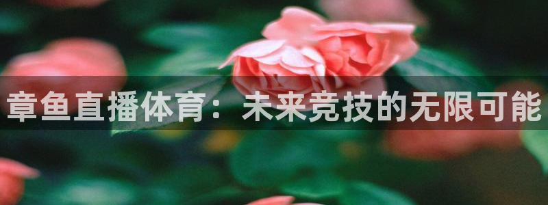 章鱼直播体育：未来竞技的无限可能