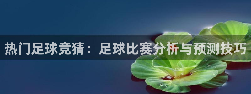 热门足球竞猜：足球比赛分析与预测技巧