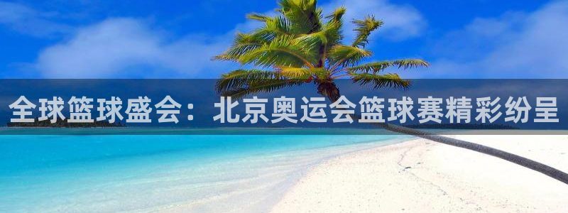 全球篮球盛会：北京奥运会篮球赛精彩纷呈