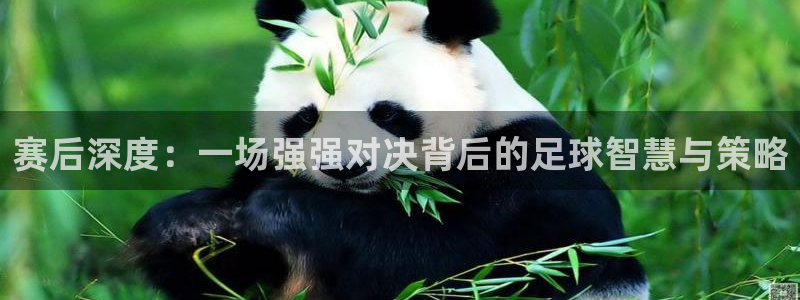 赛后深度：一场强强对决背后的足球智慧与策略