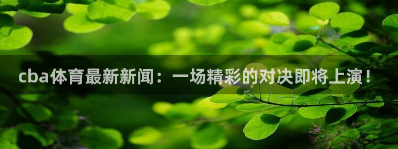 cba体育最新新闻：一场精彩的对决即将上演！